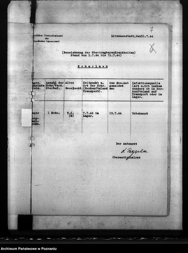 Obraz 11 z jednostki "Transport Niemców znad Morza Czarnego na teren Kraju Warty"