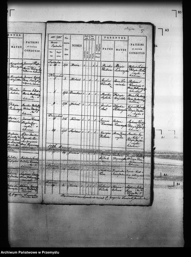 image.from.unit.number "[Kopie ksiąg metrykalnych parafii Majdan Sieniawski z filiami Adamówka, Krasne (dekanat Sieniawa)]"