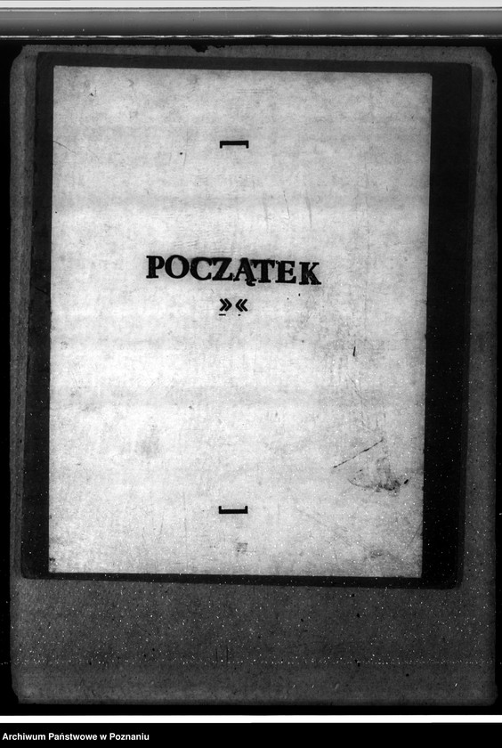 Obraz 3 z jednostki "Las majętności Dalabuszki powiat gostyński"