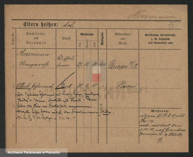 Obraz 5 z jednostki "Herman - Hermyła"