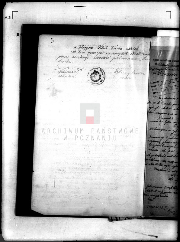 Obraz 9 z jednostki "Klub Sportowy,,Stella" w Żabikowie/"