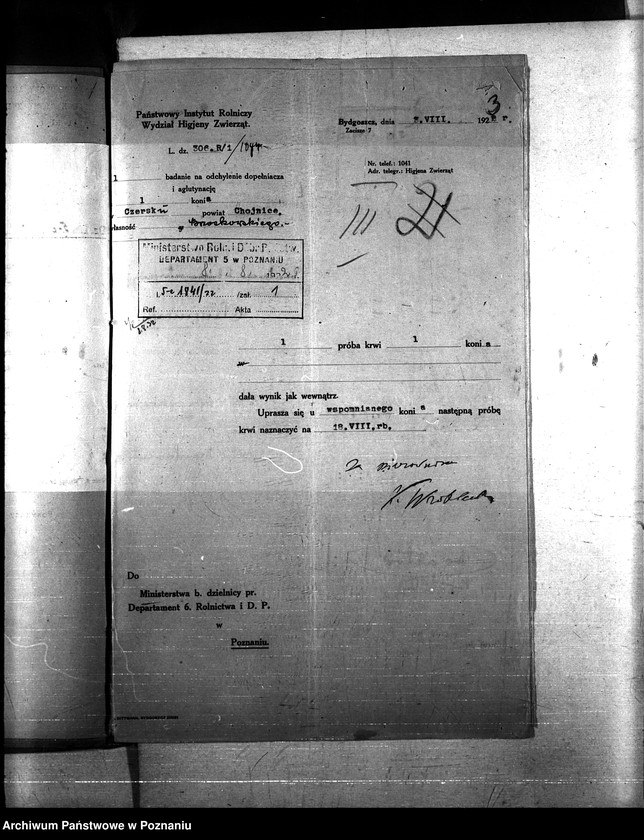 Obraz 7 z jednostki "Nosacizna - Chojnice"