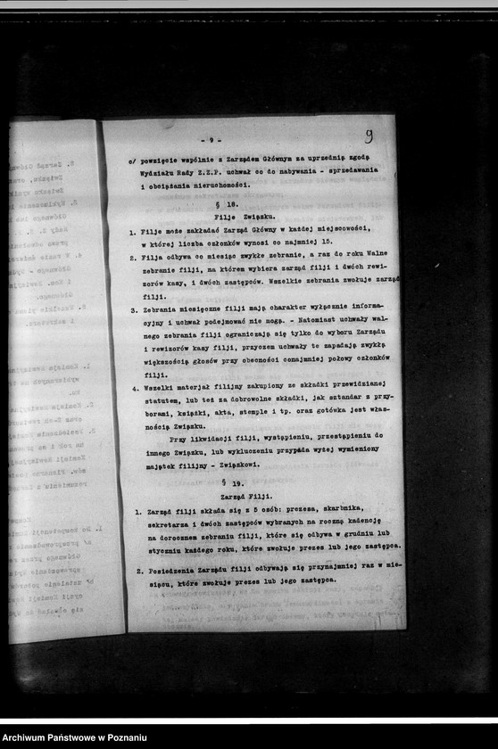 Obraz 13 z jednostki "Statut"