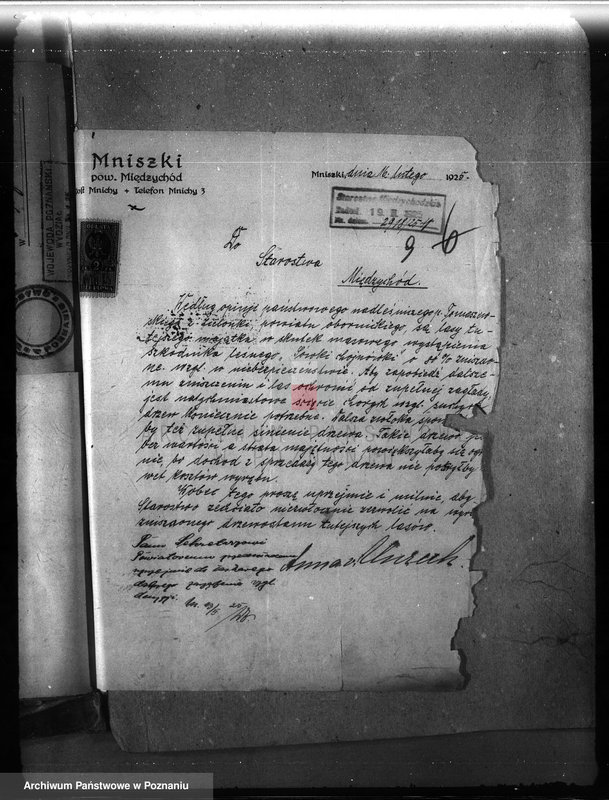 Obraz 14 z jednostki "Majętność leśna Mniszki w powiecie międzychodzkim"