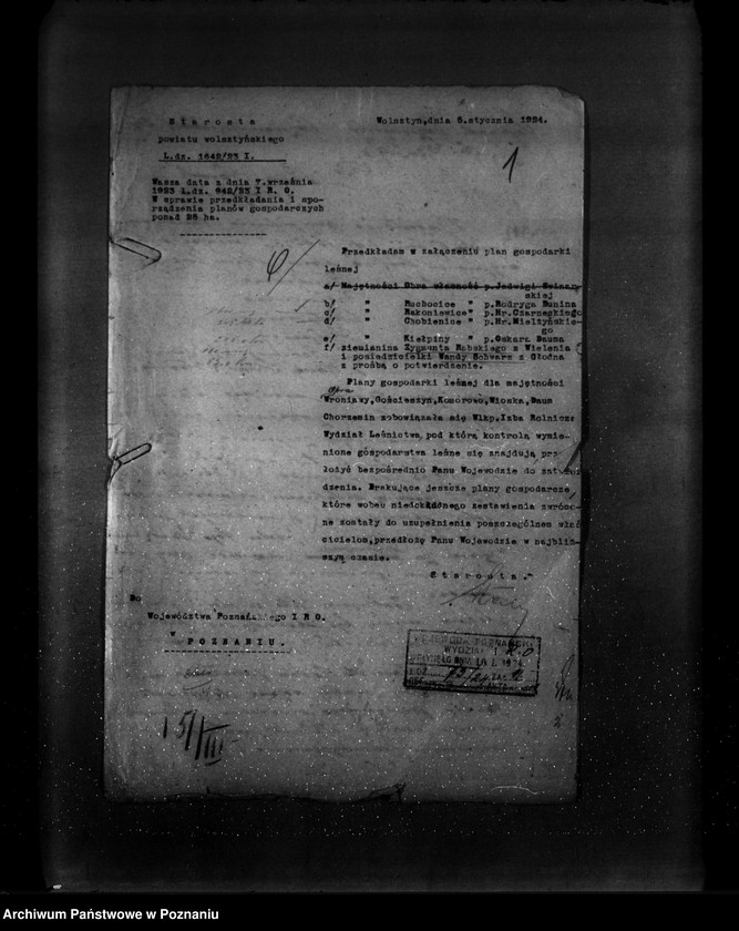 Obraz 5 z jednostki "Majętność leśna Rakoniewice powiat wolsztyński"