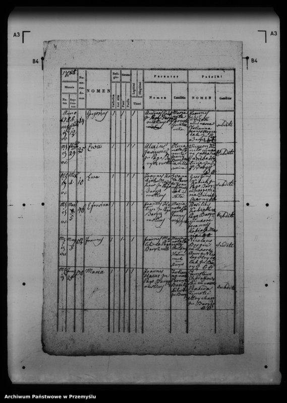 Obraz 8 z jednostki "[Kopie ksiąg metrykalnych parafii Barycz z filiami Grabowiec, Skład Solny (dekanat Medyka)]"