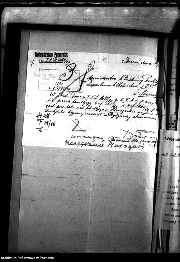 Obraz 11 z jednostki "Nosacizna - Starogard"