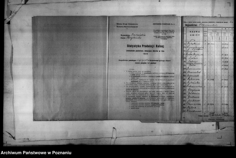 Obraz 17 z jednostki "/Statystyka produkcji rolnej - zestawienie powiatowe - Mogilno/"