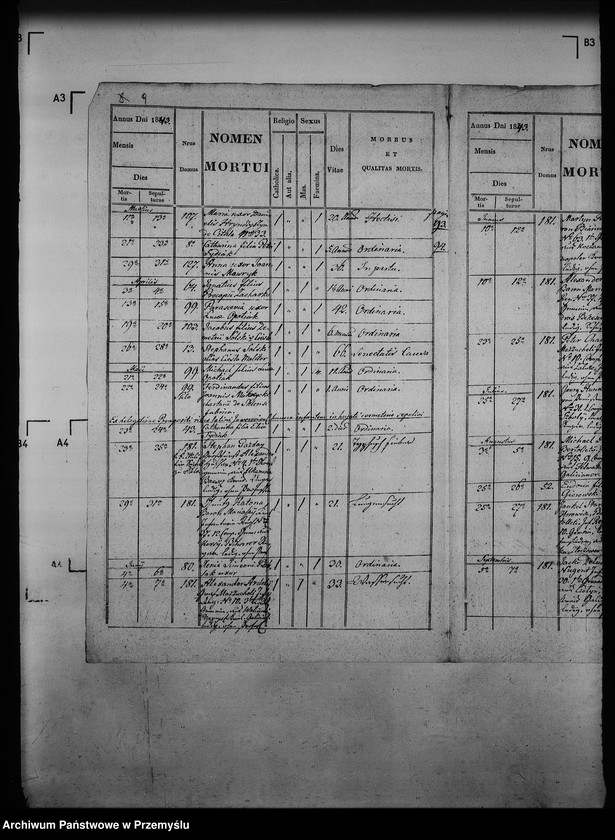 Obraz 13 z jednostki "[Kopie ksiąg metrykalnych parafii Jazów Nowy z filią Cetula (dekanat Jaworów)]"