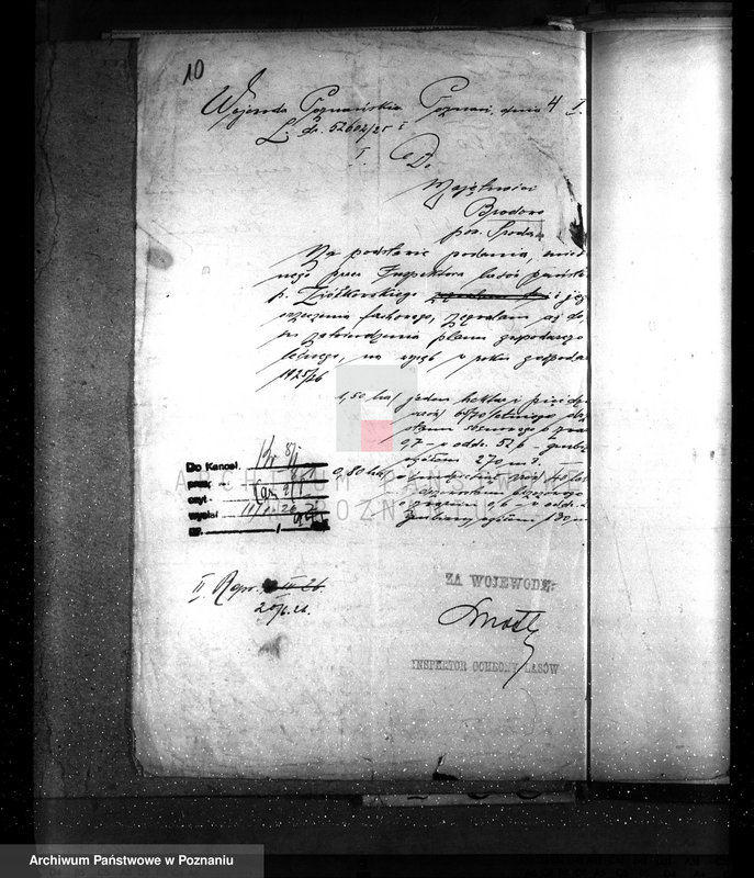 Obraz 14 z jednostki "Majętność leśna Brodowo powiat średzki"