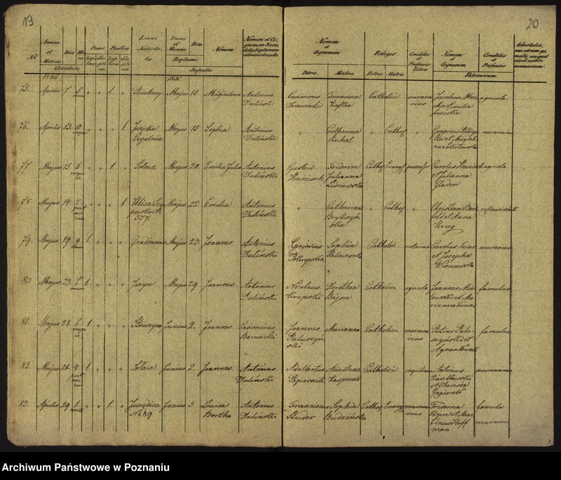 Obraz 13 z jednostki "Księga urodzeń"