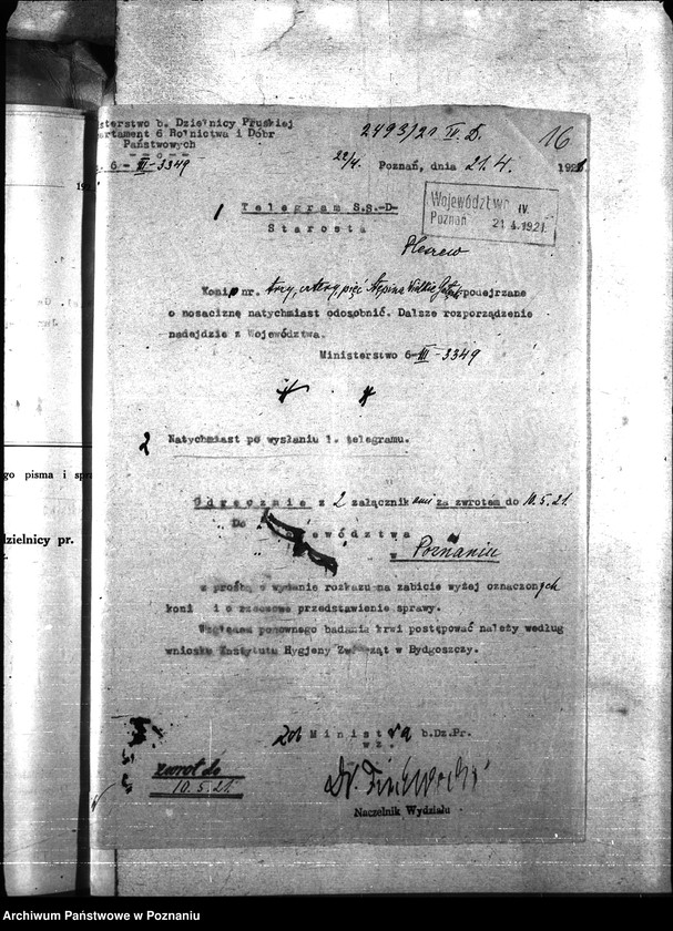 Obraz 20 z jednostki "Nosacizna - Pleszew"