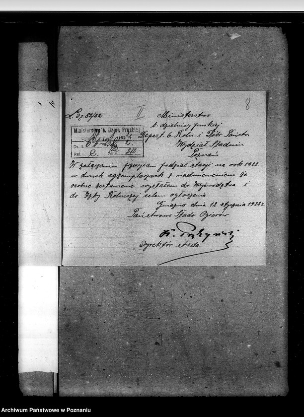 Obraz 12 z jednostki "Sprawy stadnin rozdział rządowych ogierów na stacjach"