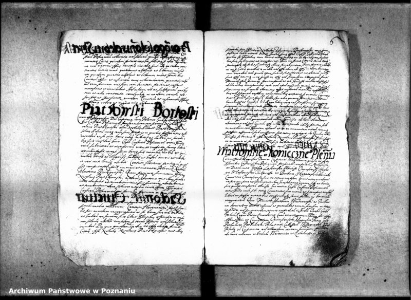 Obraz 9 z jednostki "Inscriptiones [inducta]"