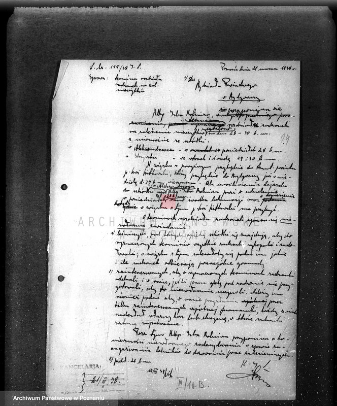 Obraz 18 z jednostki "Zalesienie nieużytków w powiecie bydgoskim"