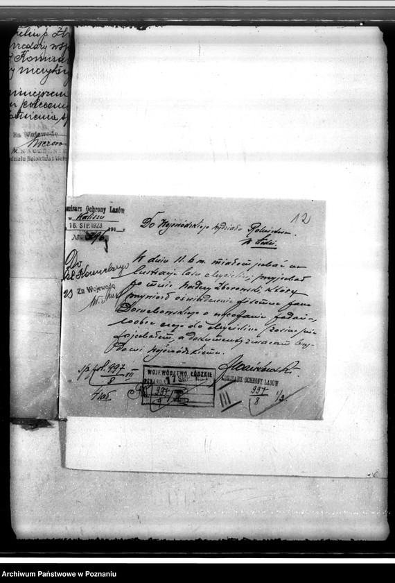 Obraz 16 z jednostki "Sprawa uzyskania zezwolenia na wyrąb jednorazowy 3 poręb w lesie majątku Mycielin powiat kaliski"