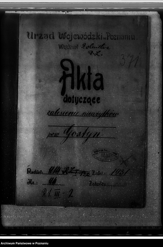 Obraz 4 z jednostki "Zalesienie nieużytków w powiecie gostyńskim"