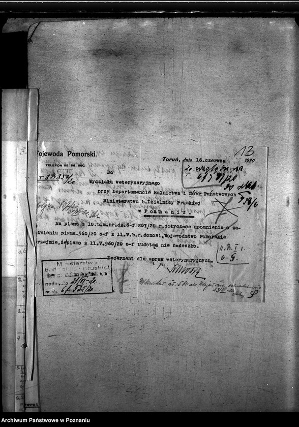 Obraz 17 z jednostki "Nosacizna - Tczew"