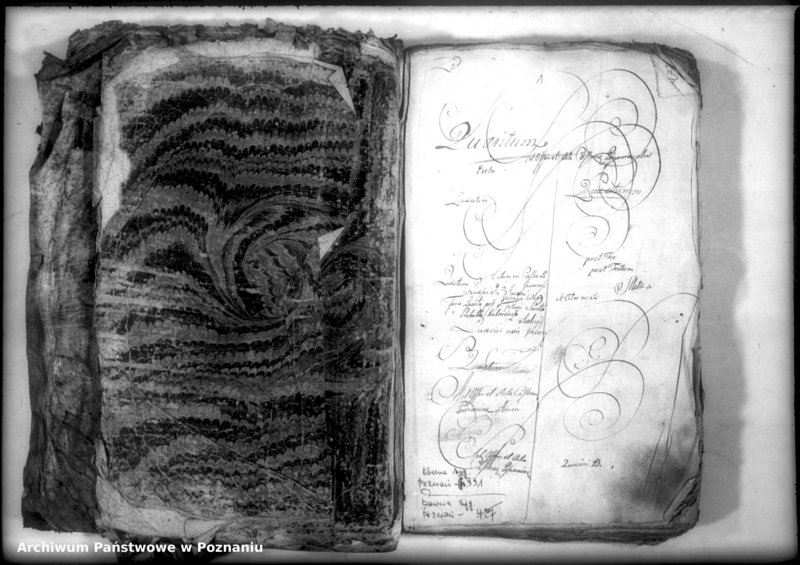 Obraz 3 z jednostki "Relationes [protocollon]"