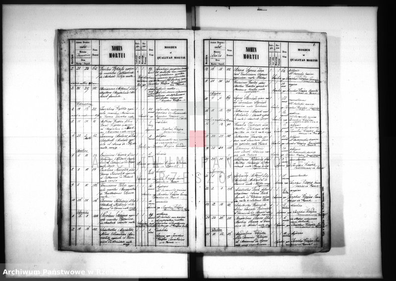 image.from.unit.number "Księga zgonów - Borek Nowy"