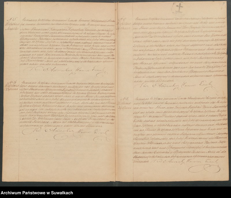 Obraz 7 z jednostki "Duplikat Elenevskago Prichoda s 1874 goda"