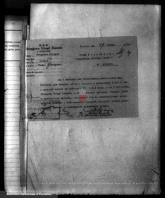 Obraz 8 z jednostki "Majętność leśna w Parzęcinie powiat kościański"