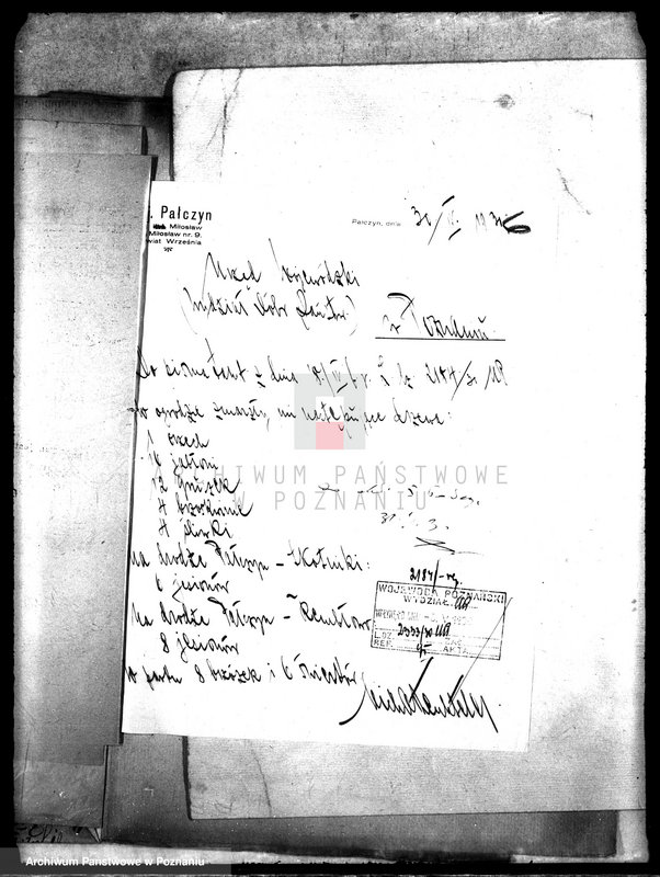 Obraz 10 z jednostki "Drzewostan majętności Pałczyn"