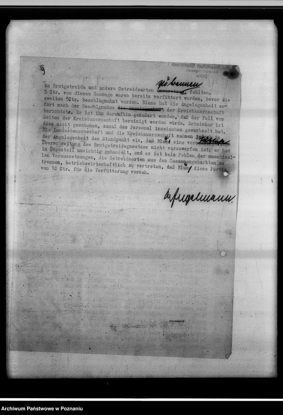 Obraz 13 z jednostki "Strafverfahren wegen Vermahlung von Brotgetreide - Gauheilanstalt Warta bei Sieradz."