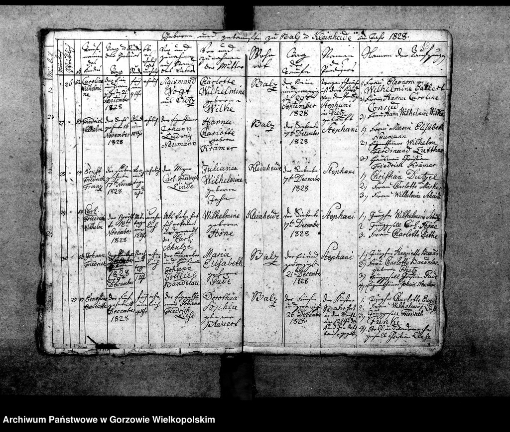 image.from.unit.number "Duplikate der Kirchenbücher von Balz: Balz (Białcz), Kleinheide Pszczelnik)"