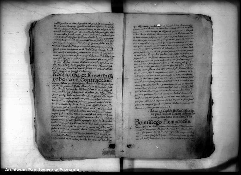 Obraz 7 z jednostki "Inscriptiones [inducta]"