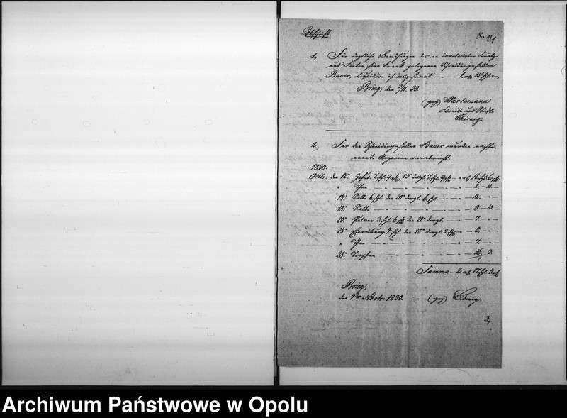 Obraz 13 z jednostki "Acta des Magistrats zu Oppeln betreffend die Anforderung des Magistrats zu Brieg wegen der Cur-Kosten des mit der Krätze angeblich behafteten Schneidergesellen Joseph Bauer aus Dittmaringen in Baiern im Betrage von 7 rtl. 11 pfg."