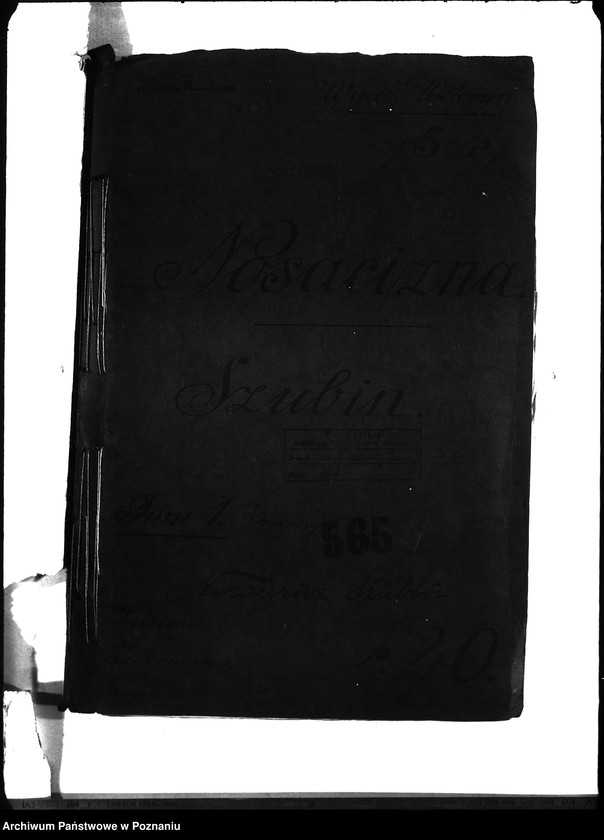 Obraz 4 z jednostki "Nosacizna - Szubin"