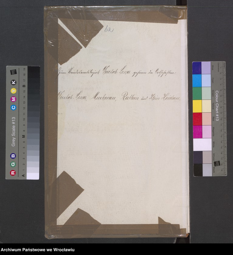 image.from.unit.number "Księga urodzeń Leśnica (Deutsch Lissa) 1909"