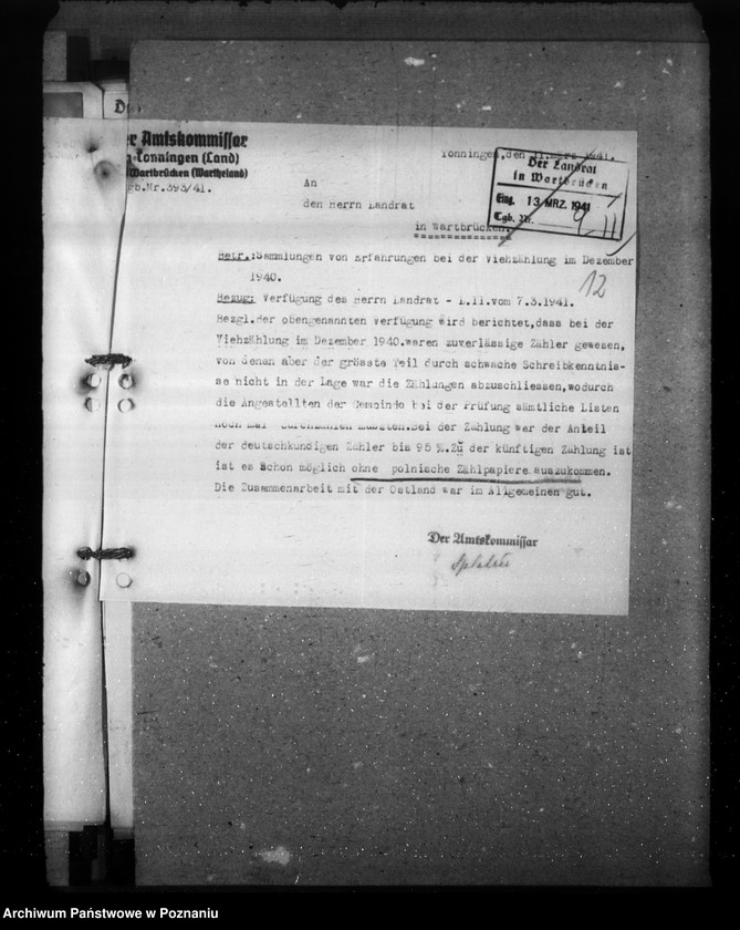 Obraz 16 z jednostki "Erfahrungen bei der Viehzählung"