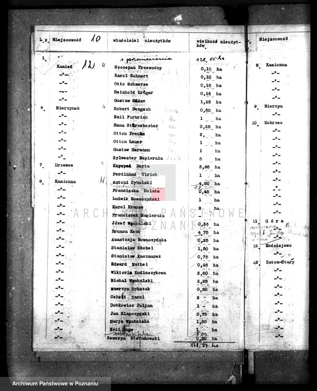 Obraz 16 z jednostki "Zalesienie nieużytków w powiecie międzychodzkim"