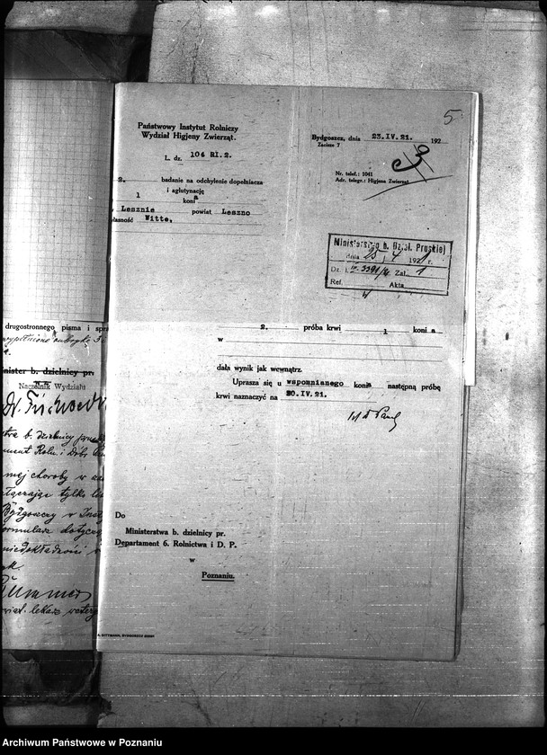 Obraz 8 z jednostki "Nosacizna - Leszno"