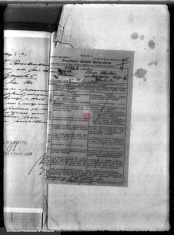 image.from.unit.number "Las majętność Ocieszyn powiat obornicki"