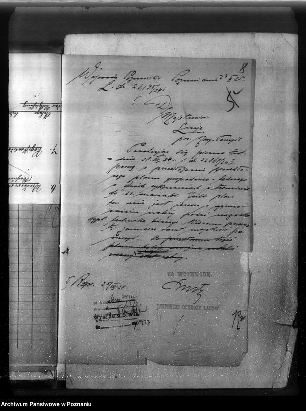 Obraz 12 z jednostki "Majętność leśna Linie w powiecie nowotomyskim"