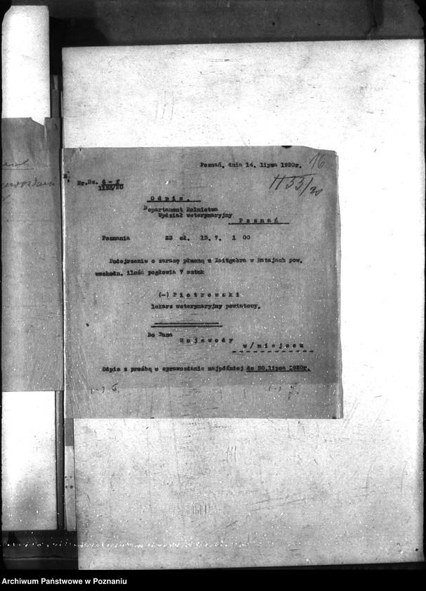 Obraz 20 z jednostki "Zaraza płucna - Poznań-Wschód"