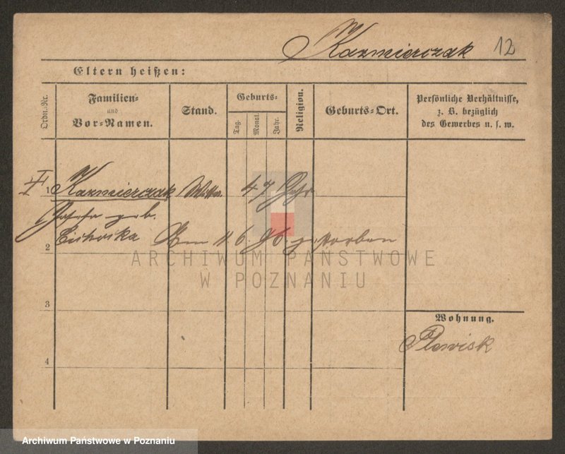 Obraz 12 z jednostki "Kaźmierczak (wdowy, samotni mężczyźni i kobiety)"