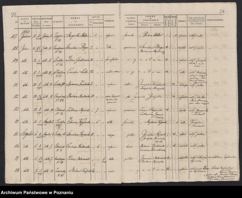 Obraz 13 z jednostki "Księga zgonów"