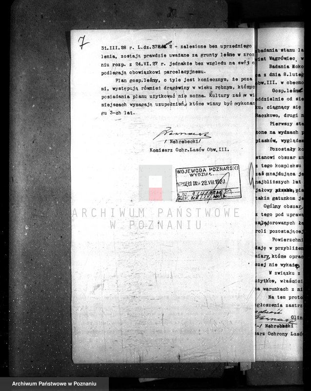 Obraz 11 z jednostki "Majętność leśna Glinno powiat wągrowiecki"