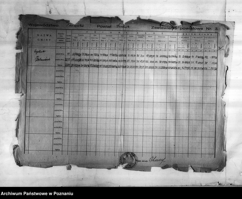 Obraz 10 z jednostki "/Statystyka produkcji rolnej - zestawienie powiatowe - Grodzisk/"