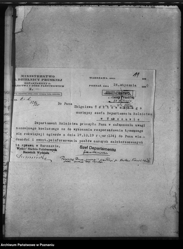 Obraz 15 z jednostki "Rekwizycje koni"