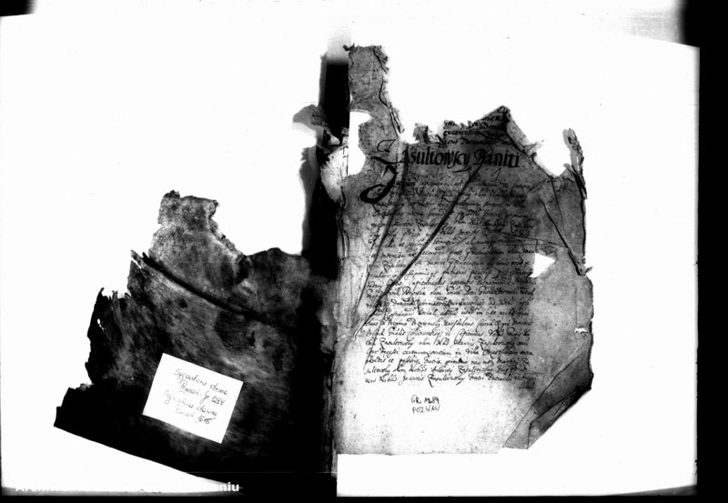 Obraz 3 z jednostki "Decreta iudicii [inducta]"