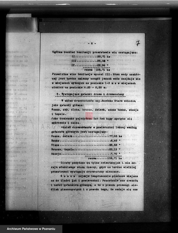 Obraz 11 z jednostki "Plan urządzania gospodarstwa leśnego majętności Borówkowo-Stare powiat. kościański"