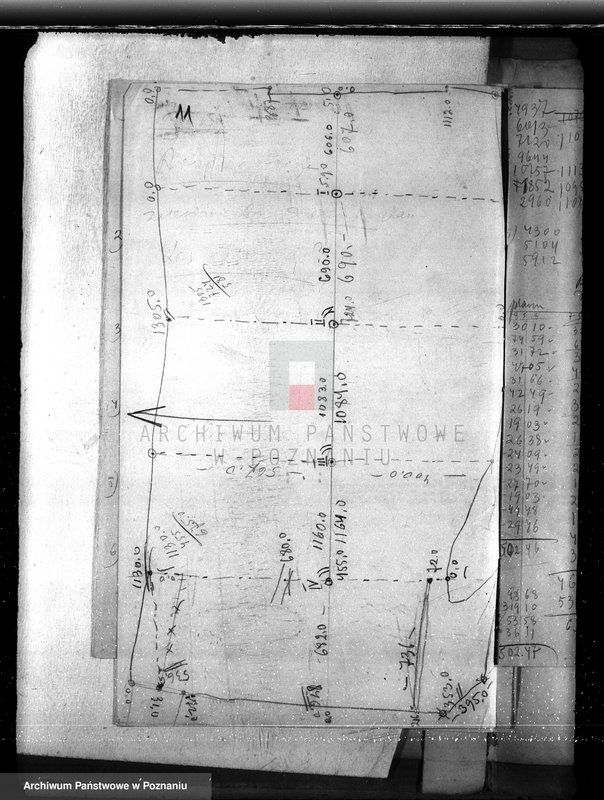 Obraz 15 z jednostki "Majętność Biskupiec powiat koniński /sprawa ustalenia granicy lasu/"
