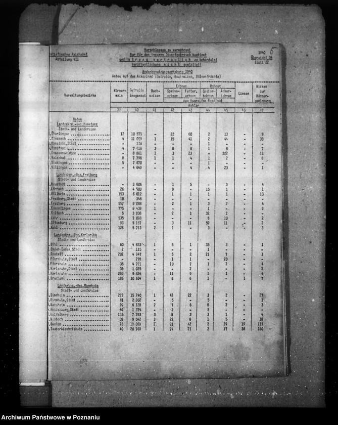 Obraz 9 z jednostki "Baden"