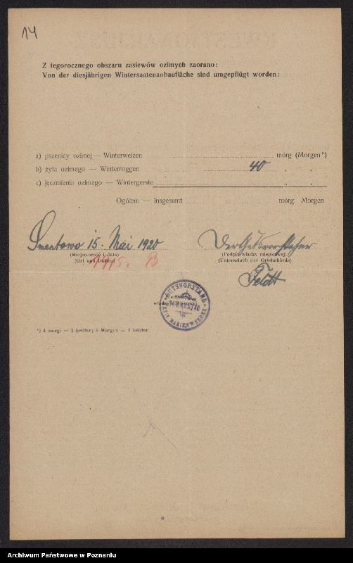 Obraz 16 z jednostki "[Kwestionariusze dotyczące obszaru ozimin zaoranych, powiat gniewski]"