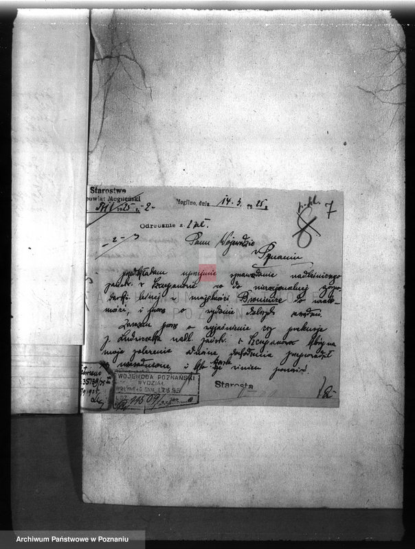 Obraz 11 z jednostki "Majętność leśna /Bronie wiec/ powiat mogileński"